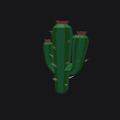 Large Cactus