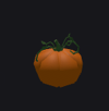 Pumpkin Plant