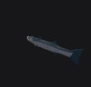Barracuda Fish