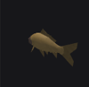 Carp Fish