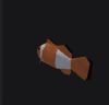 Clown Fish