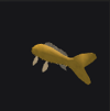 Koi Fish