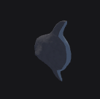 Mola Mola Fish