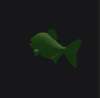 Piranha Fish