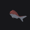 Red Sea Bream Fish