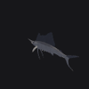 Sail Fish