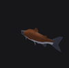 Salmon Fish