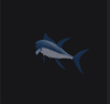 Tuna Fish