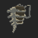 Bone Backpack
