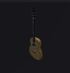 Acoustic Guitar