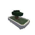 Bonsai