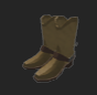 Cowboy Shoes